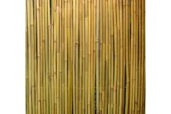 Bambusgjerde til hage 15x3m