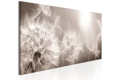 Bilde Summer Dandelions 135x45