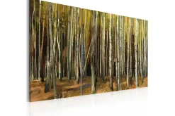 Bilde The mystery of Sherwood Fores90x60