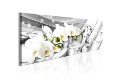Bilde Twisted Orchids 120x40