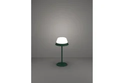 Bordlampe Eglo Meggiano Grønn/Hvit