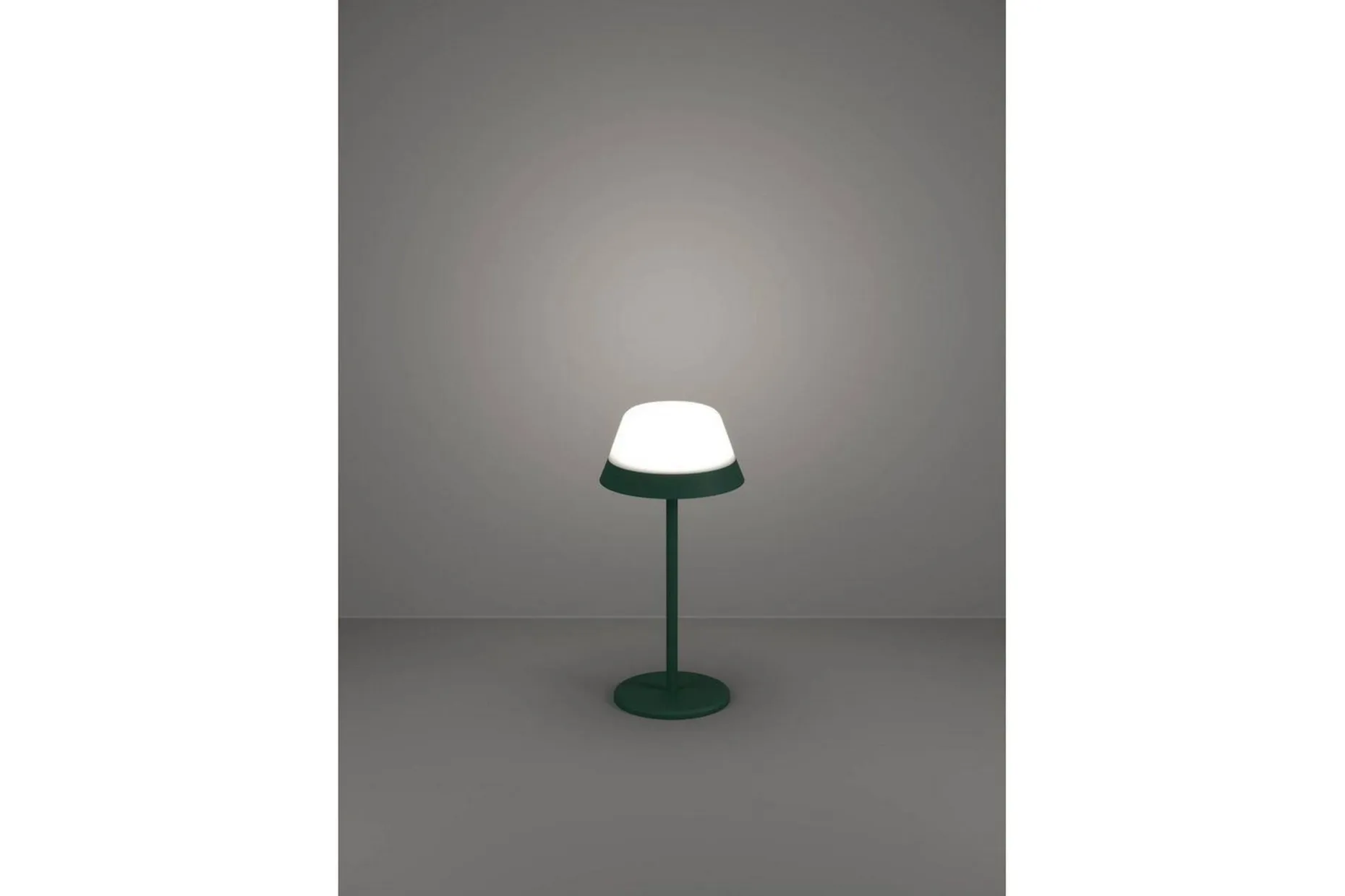 Bordlampe Eglo Meggiano Grønn/Hvit