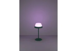 Bordlampe Eglo Meggiano Grønn/Hvit