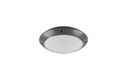 Bringardner Plafond