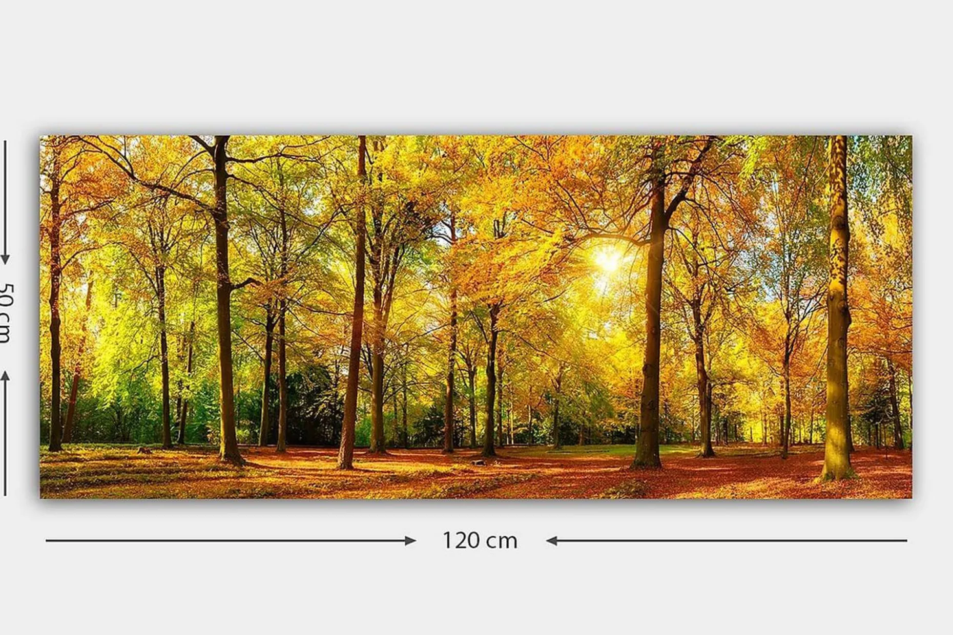 Canvasbilde YTY Landscape & Nature Flerfarget