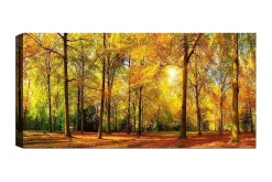Canvasbilde YTY Landscape & Nature Flerfarget