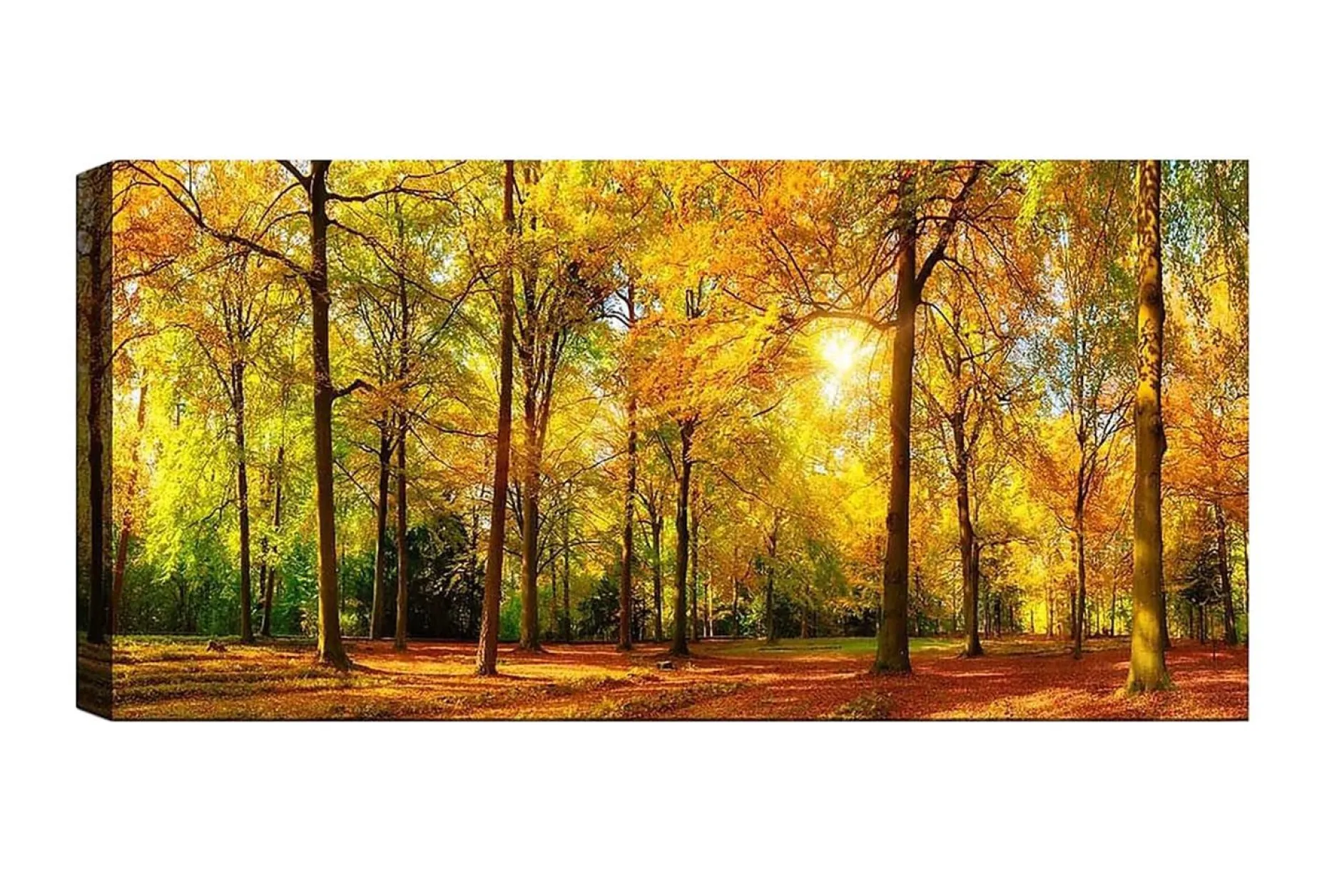 Canvasbilde YTY Landscape & Nature Flerfarget