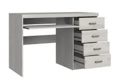 Castillia Skrivebord 120 cm med Oppbevaring 4 Skuffer + Hyll