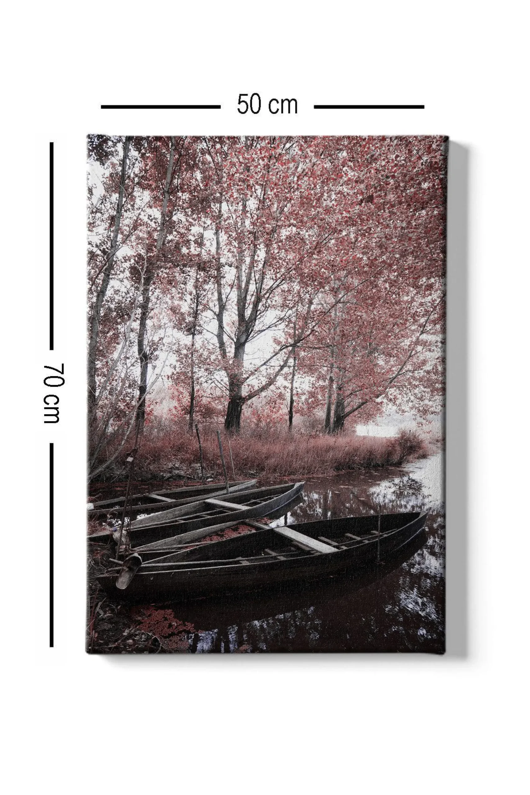 Dekorativ Canvasbilde 50x70 cm