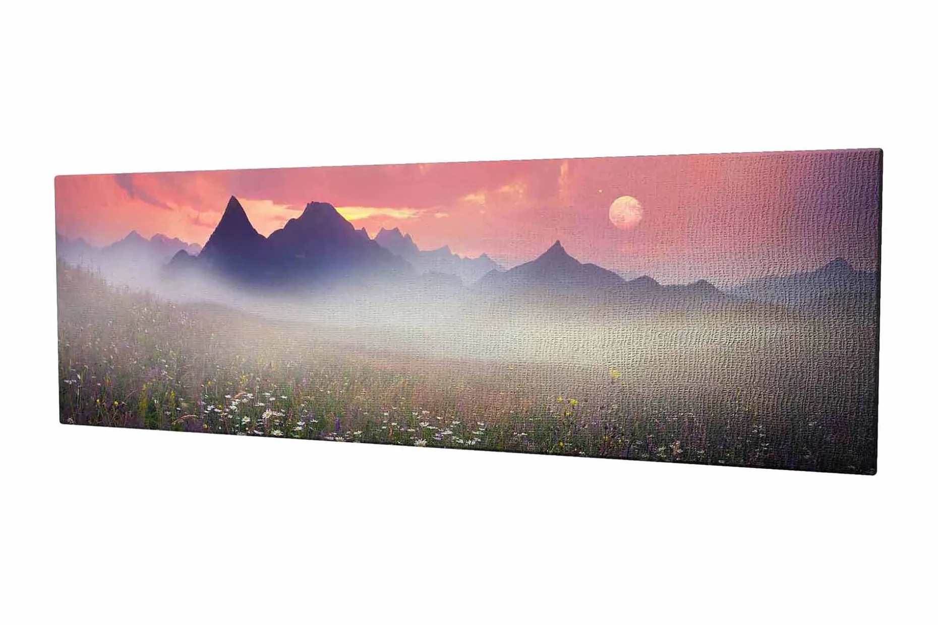 Dekorativ Canvasbilde 30x80 cm