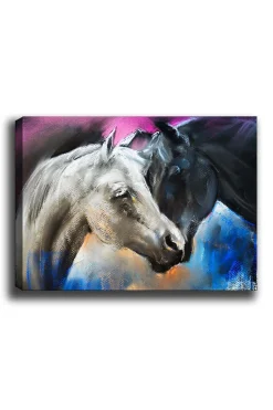 Dekorativ Canvasbilde 50x70 cm