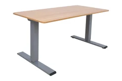Ergo Optimal Skrivebord med 2 motor 160x80 cm Tre/Grå