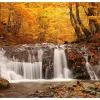 Fototapet Autumn Landscape Waterfall In Forest 200x154