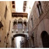 Fototapet Barcelona Palau Generalitat 250x193