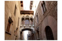 Fototapet Barcelona Palau Generalitat 250x193