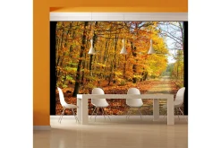Fototapet Beech Forest 350x270