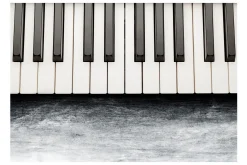 Fototapet By Chopin Gray Stone 250x175