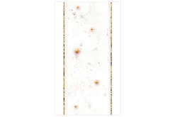 Fototapet Elegance & Style 50x1000
