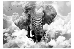 Fototapet Elephant In The Clouds Black And White 150x105