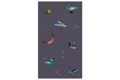 Fototapet Flight Of Hummingbirds 50x1000