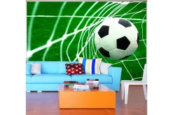 Fototapet Goal! 400x280
