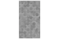 Fototapet Grey Beauty 50x1000