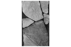 Fototapet Greyscale 50x1000