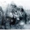 Fototapet Mountain Predator Black And White 300x210