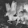 Fototapet Pegasus On The Road To Mount Olympus 250x193