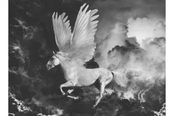Fototapet Pegasus On The Road To Mount Olympus 250x193