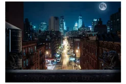 Fototapet Sleepy New York 350x245