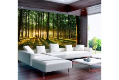 Fototapet Spring Morning In The Forest 400x280