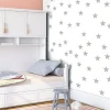 Fototapet Stellar Trail 50x1000