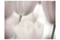 Fototapet Tulips Fine Art Black And White 250x193