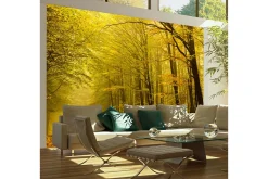 Fototapet Vei Høst Skogen 350x270