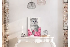 Gjør-det-selv Maleri Kitty Cat 40x60 cm