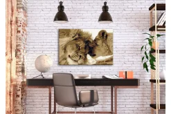 Gjør-det-selv-maleri Lions In Love 60x40 cm