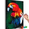 Gjør-det-selv Maleri Parrot 40x60 cm