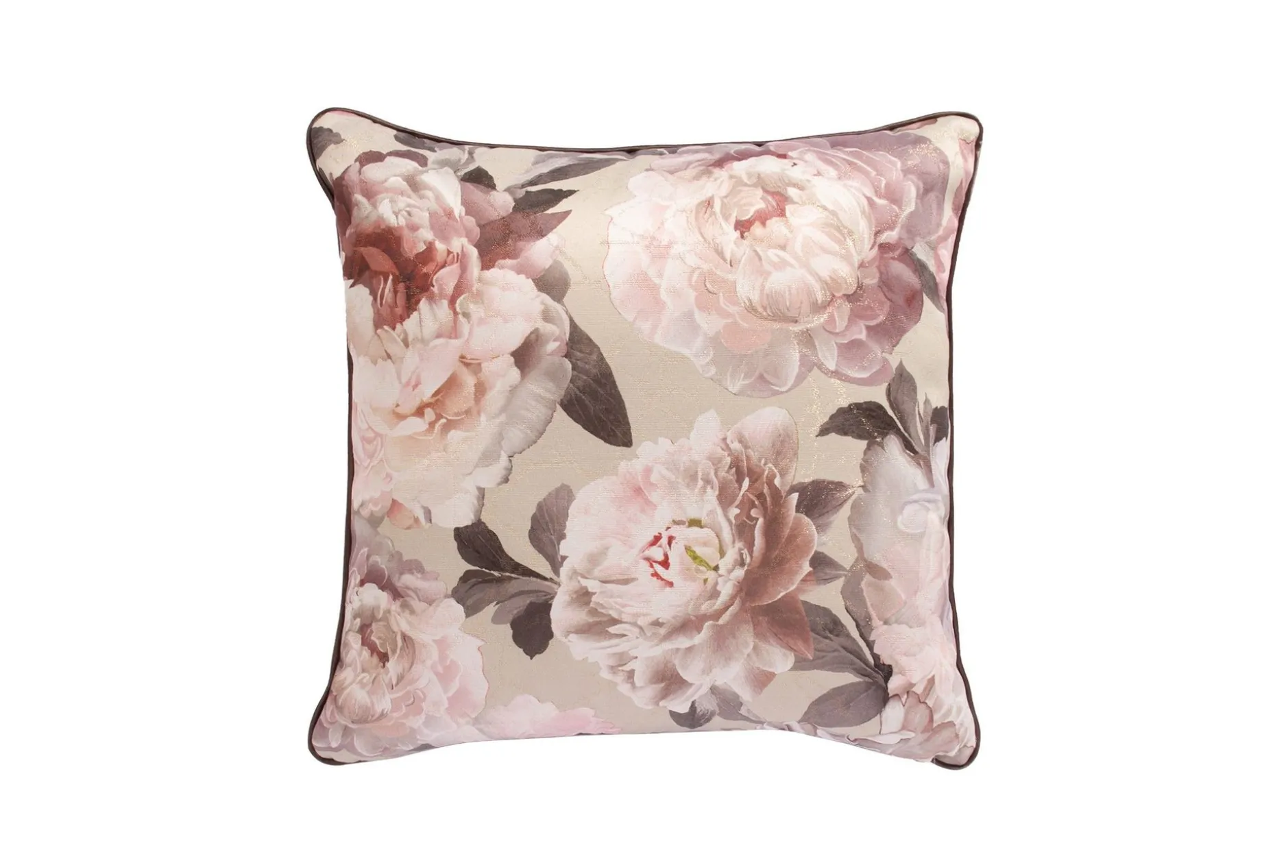 Holly Pute Rosa pioner