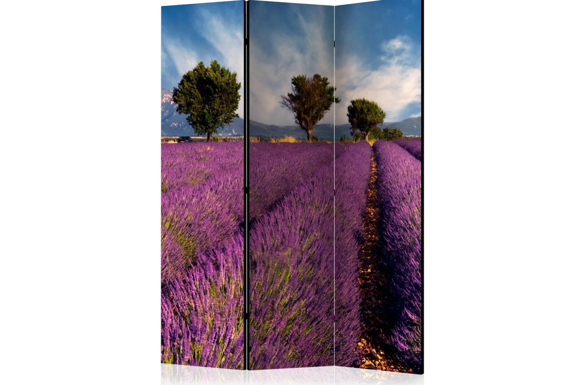Kadira Romdeler 135x172
