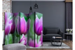 Kadira Romdeler 225x172