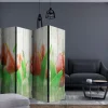 Kadira Romdeler 225x172