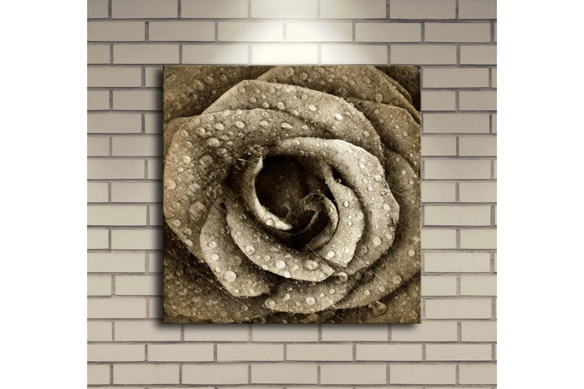 Lerretsbilde med LED-belysning 40x40 cm - Vakker rose med vanndråper
