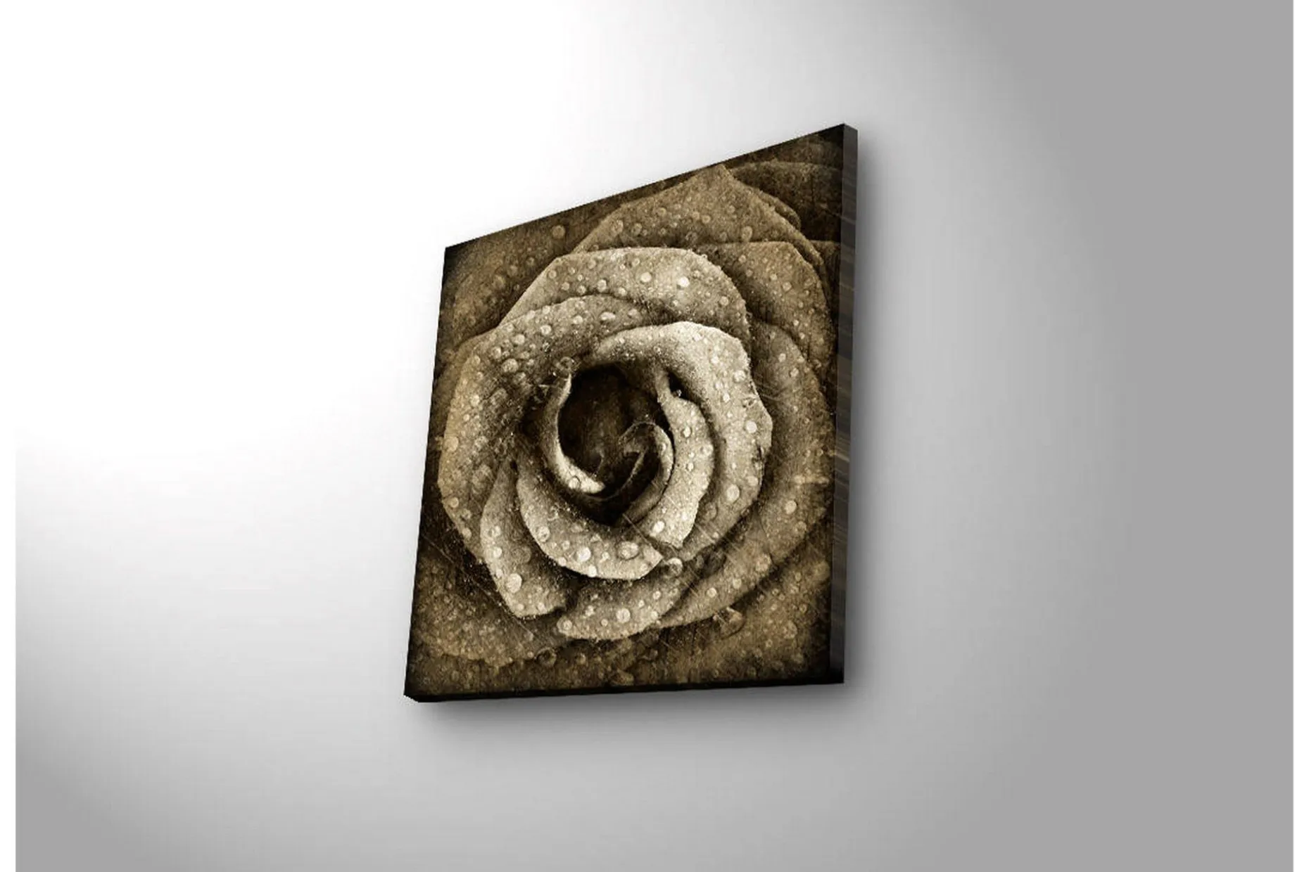 Lerretsbilde med LED-belysning 40x40 cm - Vakker rose med vanndråper