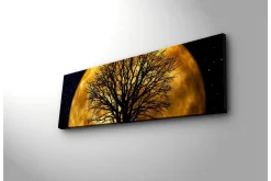 Lerretsbilde med LED-belysning 30x90 cm - Atmosfærisk motiv av en måne bak en silhuett av et tre