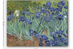 Lerretsbilde 70x100 cm - Fargerik samling av irisblomster i forskjellige blånyanser