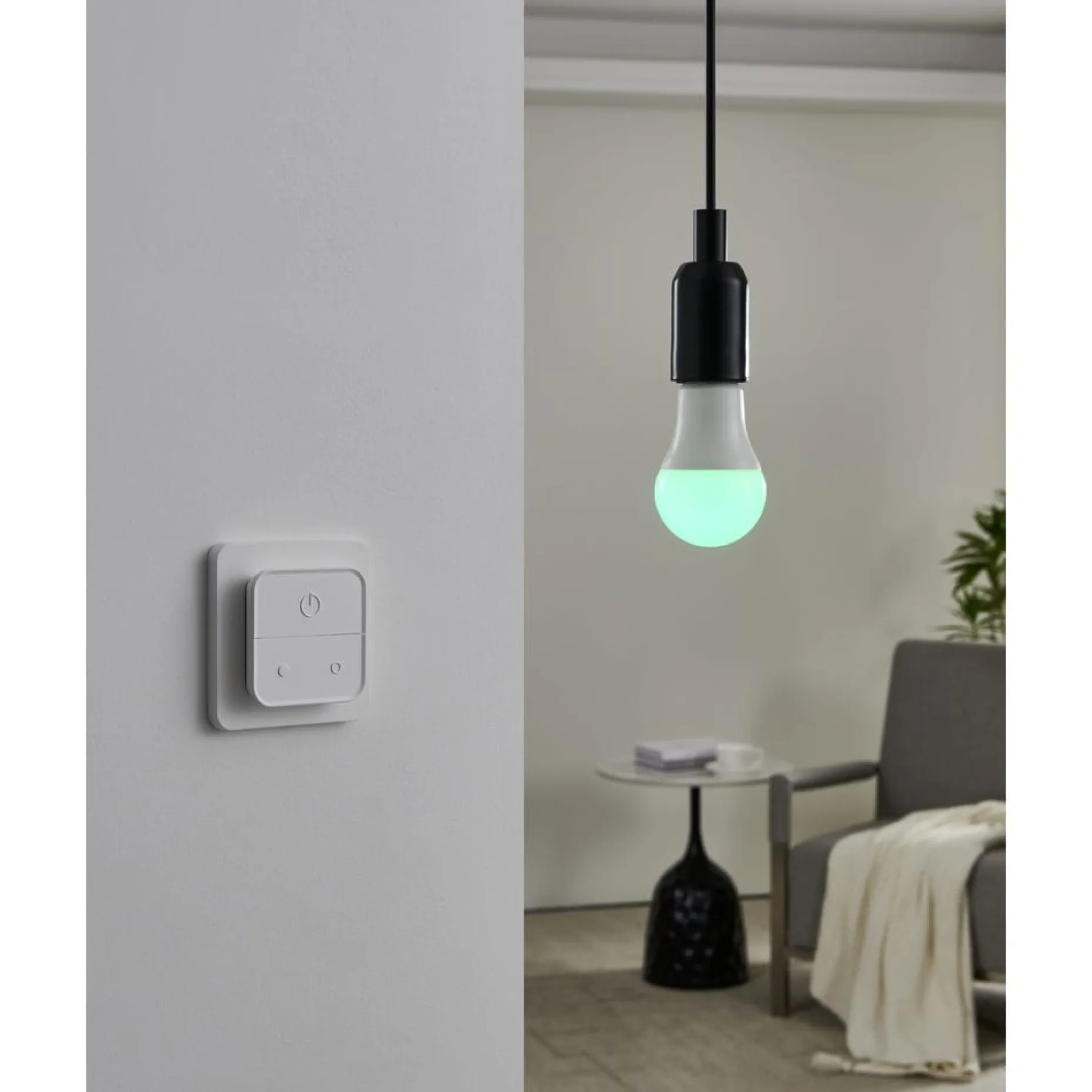 Lyskilde 2xLM-ZIG-RGB/CCT E27 A60 9W Bryter