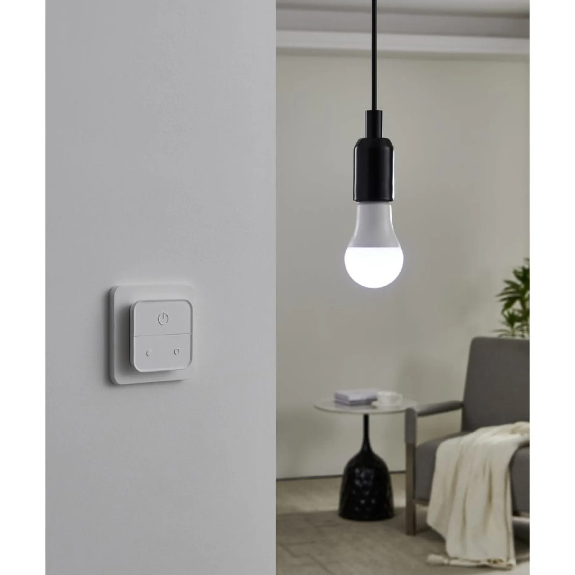 Lyskilde 2xLM-ZIG-RGB/CCT E27 A60 9W Bryter