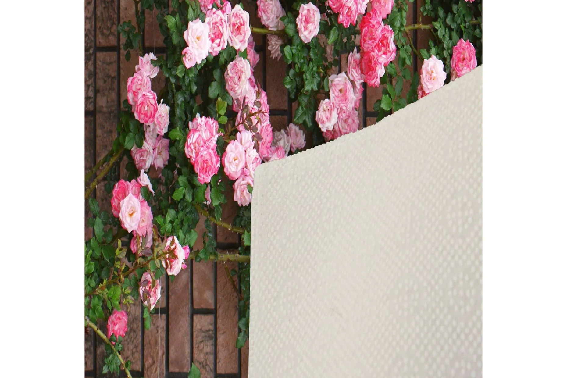 Matte (100x150) Homefesto 5