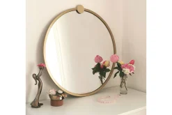 Mirror Gull
